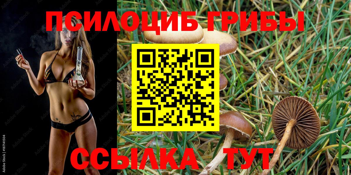 Галлюциногенные грибы ЛСД Зеленогорск
